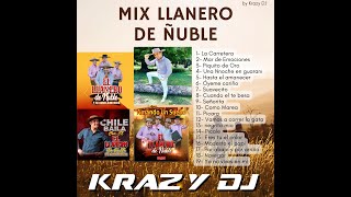 Mix Llanero de Ñuble  Krazy Dj  2024 [upl. by Chaddy]