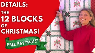 Daytime Quilting  12 Blocks of Christmas Preview [upl. by Anyzratak]