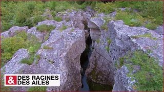 La Valserine ou la rivière aux marmites de géants [upl. by Parthen]