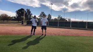 Infield Slow Rollers Drill [upl. by Stepha]