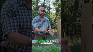 Cardboard in Gardening The Ultimate Eco Friendly Secret gardening diy mushroomgrowing [upl. by Briscoe]