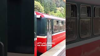 Ride the Alishan Forest Train Taiwan [upl. by Olcott]