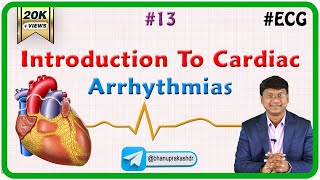 13 Introduction To Cardiac Arrhythmias  ECG assessment and ECG interpretation made easy [upl. by Aloivaf581]