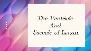 Ventricles and Saccules of Larynx [upl. by Uile]