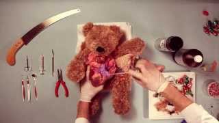 Teddy Has An Operation [upl. by Erbe]