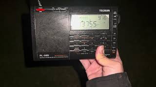 Radio New Zealand International Interval Signal on 13755KHz [upl. by Ennaer]