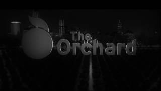 AAIN Logo Part 1 quotStudio 37  The Orchard  Diaphanaquot [upl. by Layman983]