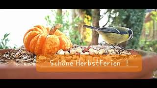 Schöne Herbstferien [upl. by Calore]