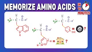 Memorize and Draw the 20 Amino Acids [upl. by Aihsinat]