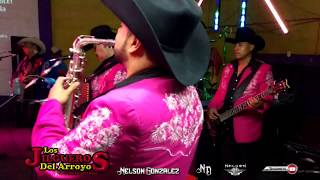 Los Jilgueros Del Arroyo • Tu Amor Y Mi Amor • En Vivo Chihuahua 2015 [upl. by Ahtinak]