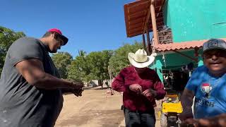 Chikilin el grande de Sinaloa visitó a Mariskero y lo recibe con estos ostiones frescos [upl. by Lyndy836]