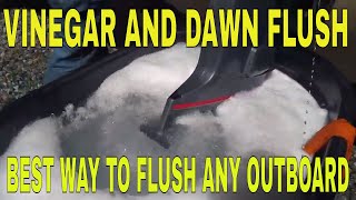 Flush your outboard at home better than Salt Away Flush Vinegar and Dawn method [upl. by Durrej]