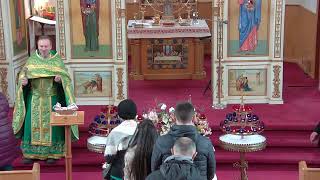 Holy Trinity Ukrainian Orthodox Cathedral Live Stream [upl. by Zsuedat288]