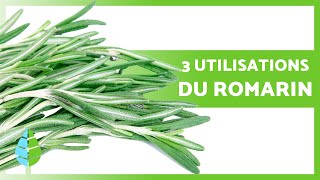 Comment PRÉPARER LE ROMARIN pour profiter de ses BIENFAITS 🌿✅ 3 Utilisations du Romarin [upl. by Gentes]