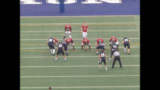 Corey Williams 2017 CFL Draft Prospect [upl. by Philippe527]