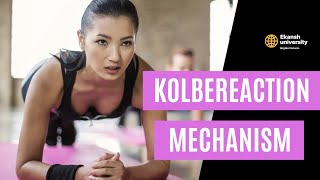 Kolbes reaction mechanism cbse neet shorts tricks ncert ncertsolutions neet2022 [upl. by Loeb31]