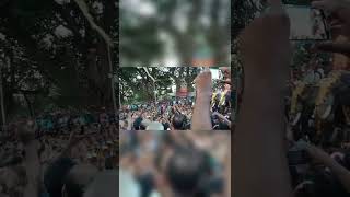 കുട്ടനെല്ലൂർ പൂരം 2024  kuttanellur pooram [upl. by Learrsi424]