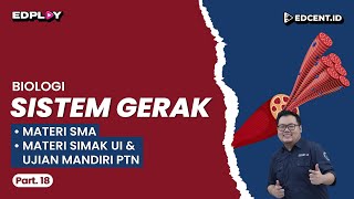 SISTEM GERAK  Materi Biologi SMA Ujian Mandiri PTN dan Perkuliahan  Part 18 [upl. by Megen]