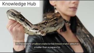 10 interesting facts about snakes [upl. by Pelmas]