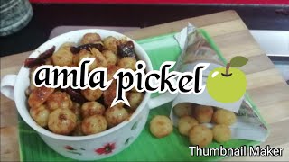 Nellikai Urugai in Tamil Amla pickle  Indiana gooseberry [upl. by Hbaruas655]