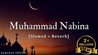 Muhammad Nabina Ramadan Special Hamada Helal  Music Material  Textaudio [upl. by Orlosky170]