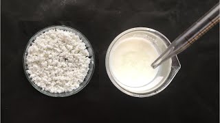 Isolation of Casein Protein from Milk  Casein Protein Isolation How to Isolate Casein Protein [upl. by Ifar175]