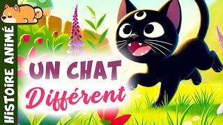 SHADOW LE CHAT 🐈‍⬛ histoire pour sendormir  conte pour enfant Une Histoire de Courage et dAmitié [upl. by Bernie]