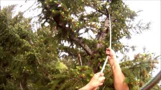 Tree climbing  grappling hook HD [upl. by Nylad]