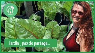 Jardin pas de partage astuces et protections de mes plantes [upl. by Nyrrad]