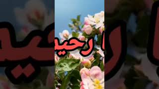 Mecc👍islamic status❣️ islamic short WhatsApp status🌹short❤️❤️❤️ [upl. by Neenahs611]