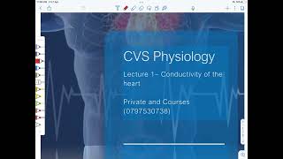 CVS Physiology YU  Lecture 1 [upl. by Hgieleak]