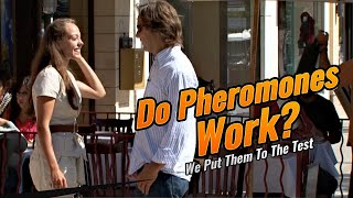 Do Pheromones Work [upl. by Childs]