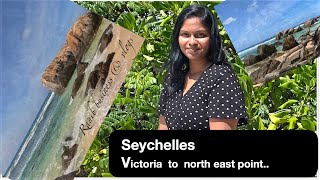 Victoria to North East Point  Seychelles  Tamil  Vlog3 [upl. by Enimajneb]