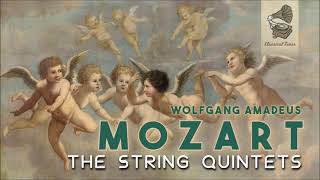 Mozart  The String Quintets [upl. by Calendre591]