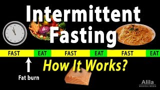 Intermittent Fasting  How it Works Animation [upl. by Cirtap]