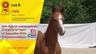 Lot 8 v Emerald van het Ruytershof  Diamant de Semilly [upl. by Ainaled]