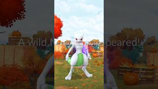 😵‍💫Back to back ✨Shiny Mewtwo in pokemon go pokemon soparstart shorts [upl. by Berwick]