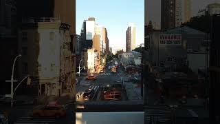 view lower manhattan from the highline NYC 6272024 [upl. by Hairakcaz450]