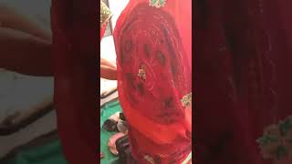 Suraj puja new video rajasthani geet marwadi video [upl. by Michale]