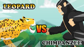 Chimpanzee vs Leopard  Jungle Fight Club S1  Animal Animation [upl. by Lowery]