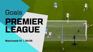 Goals of Matchweek 12  Premier League 2425 [upl. by Etnovaj]