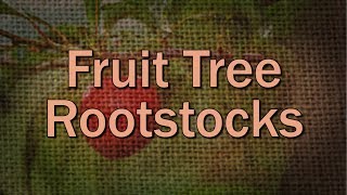 Fruit Tree Rootstock Basics – Family Plot [upl. by Hanah]