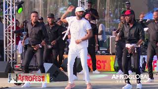 FALLY IPUPA AFROFEST Toronto 2019  Presented by Music Africa of Canada [upl. by Suilenrac54]