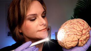 ASMR Fixing Your Brain Examining Cleaning amp Fixing [upl. by Dielle]