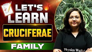 Cruciferae Family  Newly Added Plant Family  Updated NEET Syllabus NEET [upl. by Yrohcaz257]