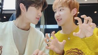 minghao and woozi being the biggest HORANGHAE ANTI [upl. by Kassab]