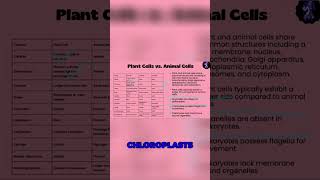 The Key Differences Between Plant and Animal Cells Explained [upl. by Trudnak]