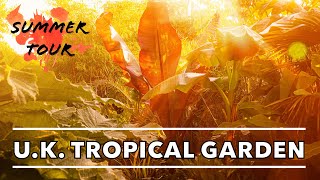 UK Tropical Jungle Garden Summer Tour 2022  Drought Filler Plants amp Design Ideas [upl. by Amble558]