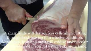 Trimming Miyazaki Wagyu with a Takamura HSPS Pro Sujihiki [upl. by Tija]