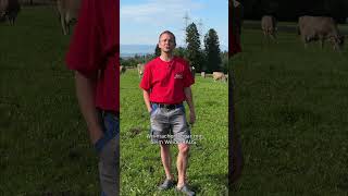 Shorts  Appenzellerhof ZH  Tierwohl  Bim Milchbuur  Swissmilk 2024 [upl. by Ideih]